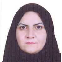 مهدیه محبی فرد