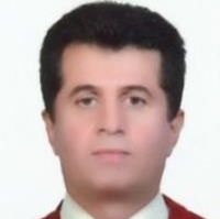 دکتر حمید مراد زاده