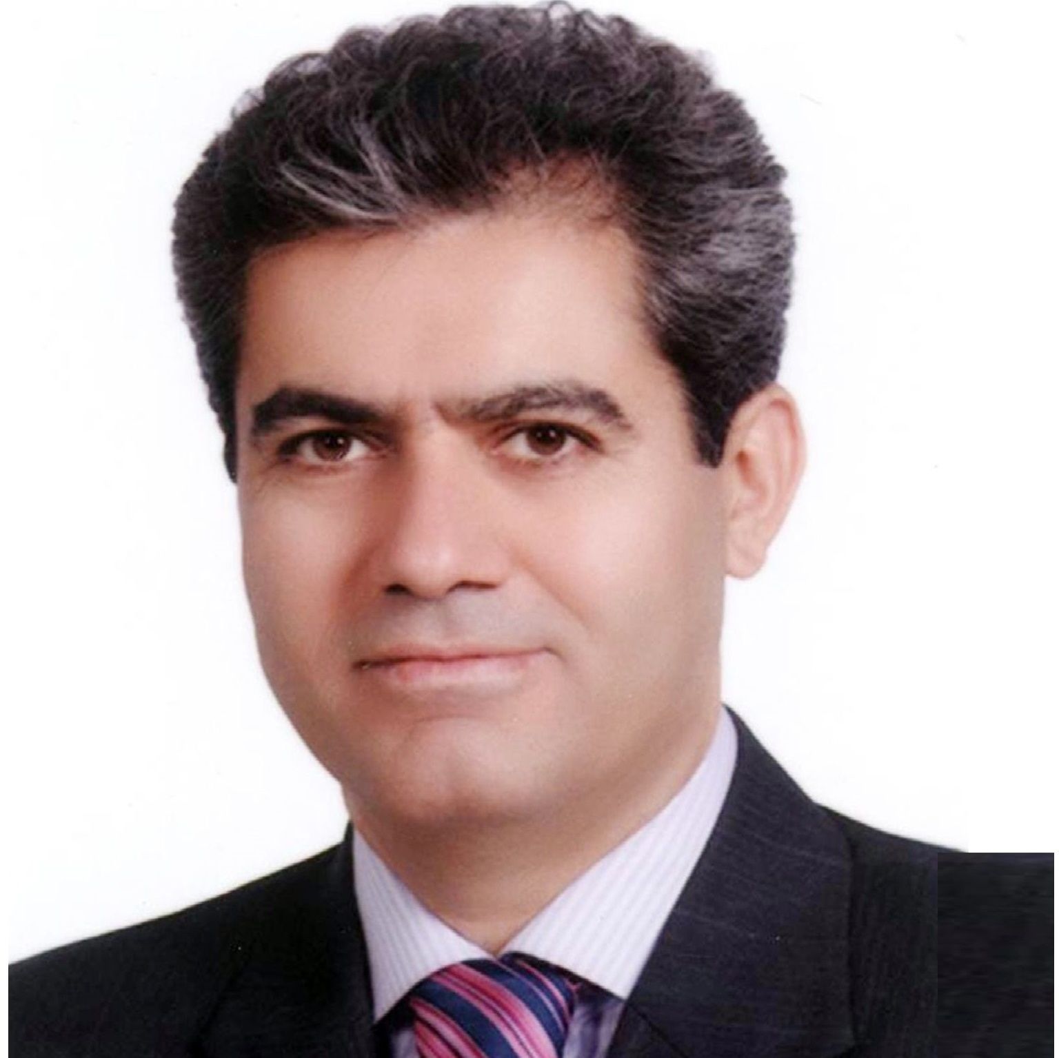دکتر محمدحسن هوشمندی