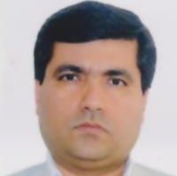 دکتر محمد طلای مینائی