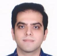 دکتر حسام الدین شجری