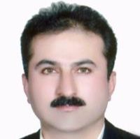 دکتر محسن حسین پور