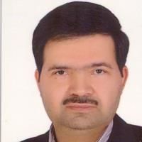 دکتر محمد مهدی میرزایی