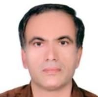 دکتر محمدرضا حمیدانی