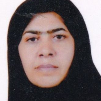 هما محمدی زاده