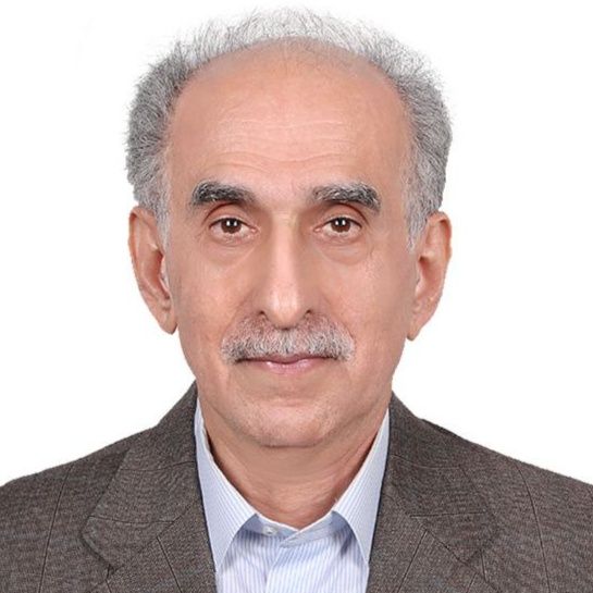 دکتر محمدجواد محمدی