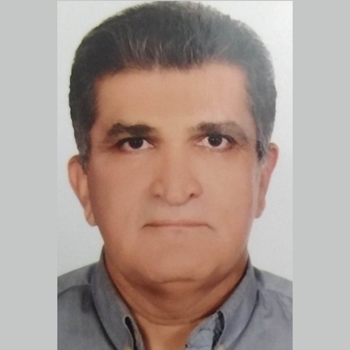 دکتر موسی الرضا محمدآبادی