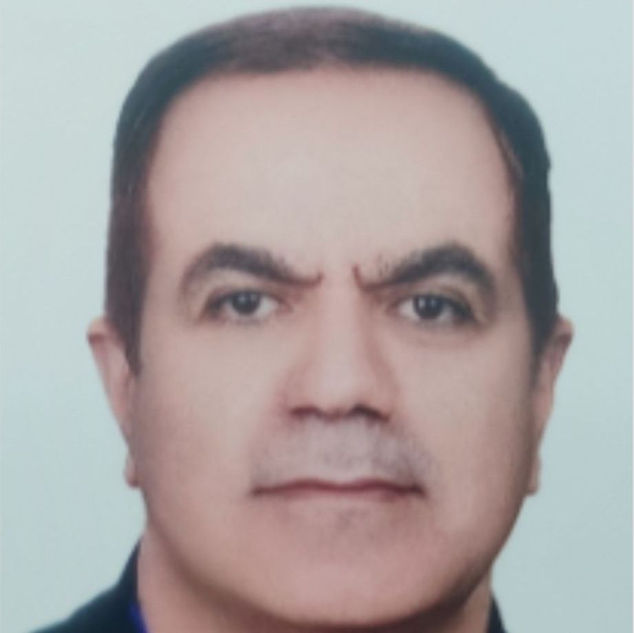 محمدحسین مهدی