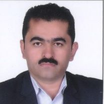 دکتر حسن امین پور