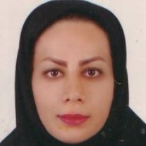 منیر شایان فر
