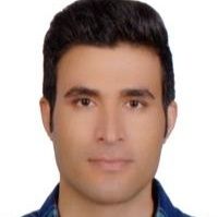 دکتر حسین حسینی