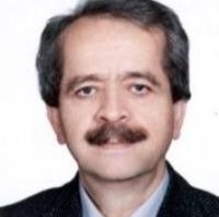 دکتر حسین عاملی