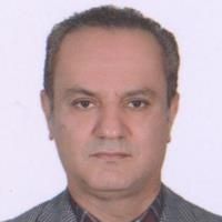 دکتر سیدحسن سیدنژادفهیم