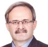 دکتر سیدمهدی سیدمیرزائی علی آبادی