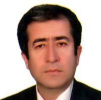 دکتر سعید مهردل