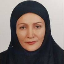 سارا عابدزاده حجاز