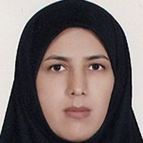 نرگس شمسی
