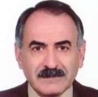 دکتر حمید حکمی