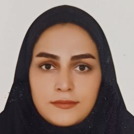 پریسا میرزایی شریفی زاده