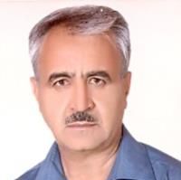 دکتر عبدالحسن تقی زاده