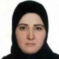مینا پذیرا