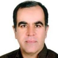 دکتر میرزامحمدحسن شفیعی میبدی