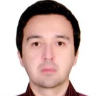 دکتر رضا عبادی