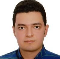 دکتر محمدحسین میرجانی