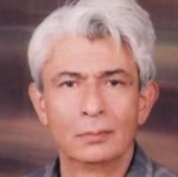 دکتر علی گرزن