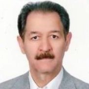 دکتر ناصرعلی حمیدی