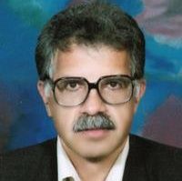 دکتر میرحمید ربانی شبستری