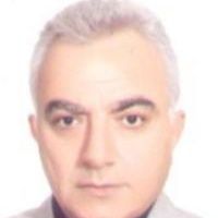دکتر محمدحسین گرجی