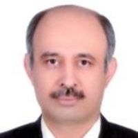 دکتر حمیدرضا ریاضی