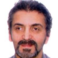دکتر مهرداد عبداللهی میرزانق