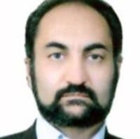 دکتر محمدرضا مزیدی شرف آبادی