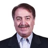 دکتر سیدمحمد ربیعی هاشمی