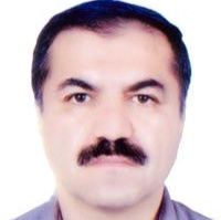 دکتر محمد فاضلی کبریا