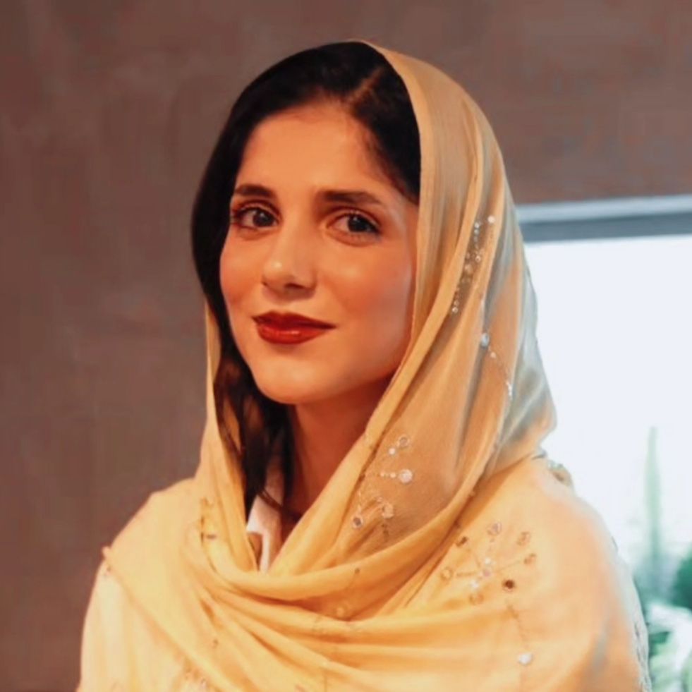 مینا دیلگونی