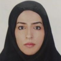افروز میر