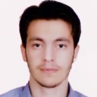 دکتر حسین باور