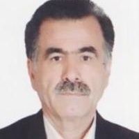 دکتر محمدتقی مهراب پور