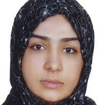وحیده فرهنگی