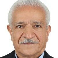 دکتر محمدرضا هاتف فرد