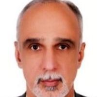 دکتر محمدرضا برقی