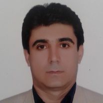 دکتر حسن غریبی