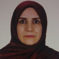 طلعت رافعی