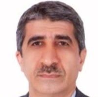 دکتر محمود امامی