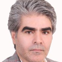 دکتر محمدرضا بیات
