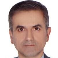 دکتر حسین سلمان نژاد