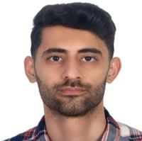 دکتر سید مصطفی حسینی